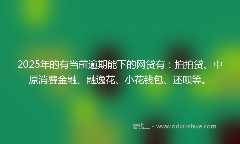 2025年的有当前逾期能下的网贷有：拍拍贷、中原消费金融、融逸花、小花钱包、还呗等。