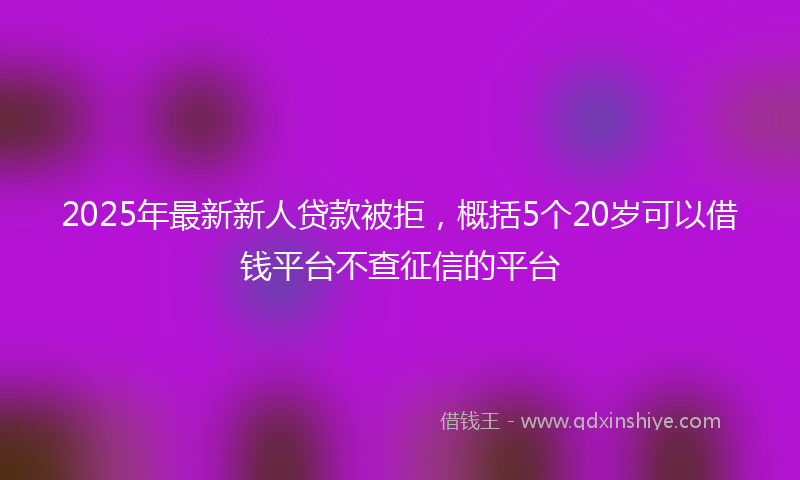 2025年最新新人贷款被拒，概括5个20岁可以借钱平台不查征信的平台