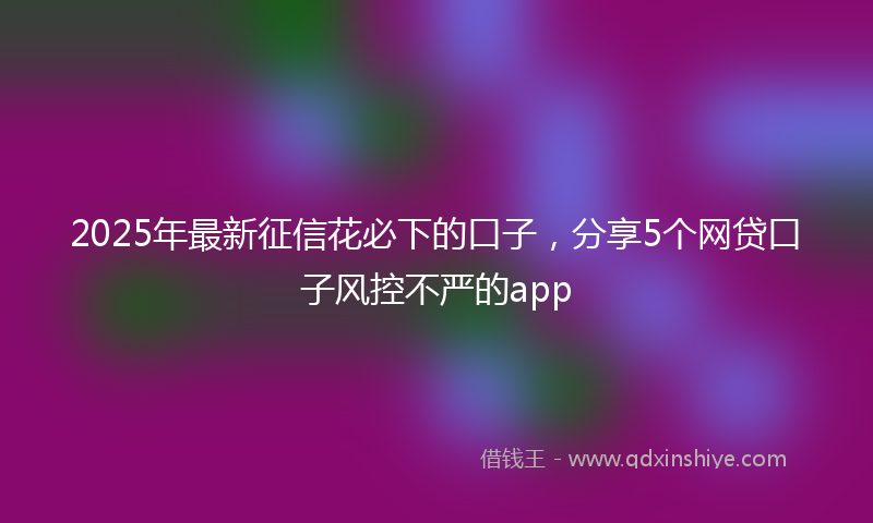 2025年最新征信花必下的口子，分享5个网贷口子风控不严的app