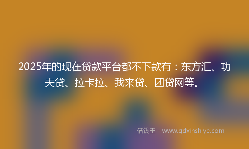 2025年的现在贷款平台都不下款有：东方汇、功夫贷、拉卡拉、我来贷、团贷网等。