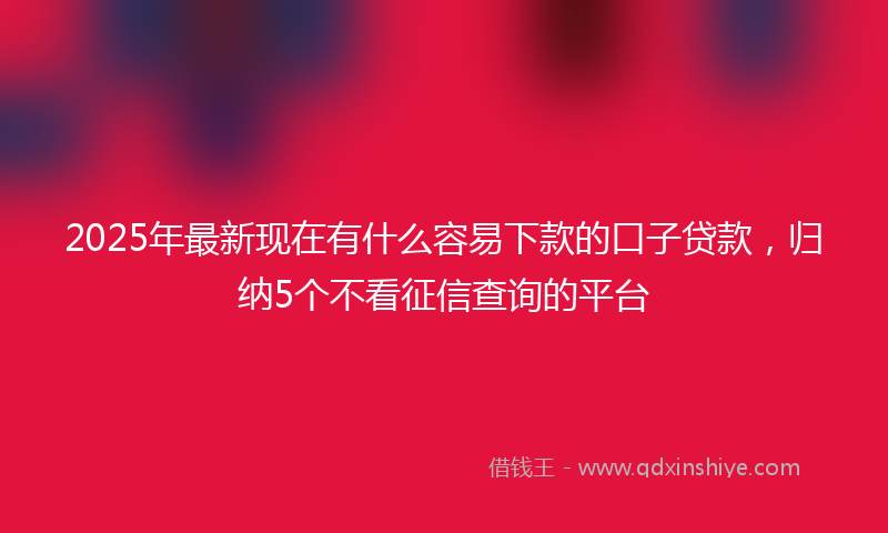 2025年最新现在有什么容易下款的口子贷款，归纳5个不看征信查询的平台