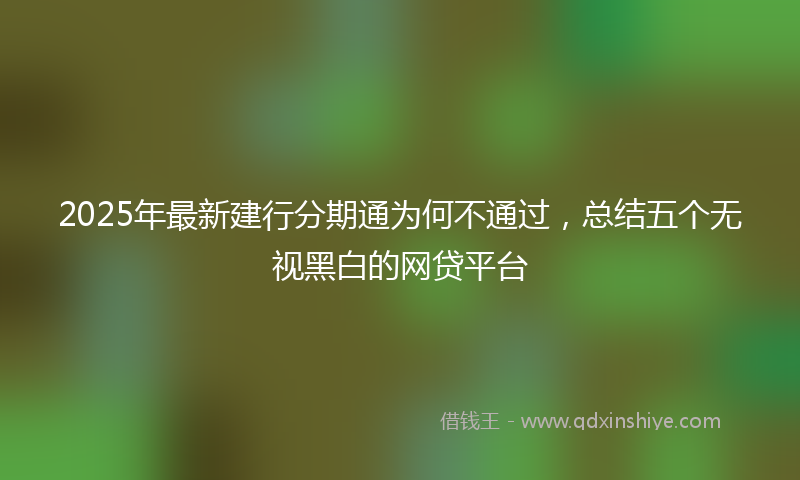 2025年最新建行分期通为何不通过，总结五个无视黑白的网贷平台
