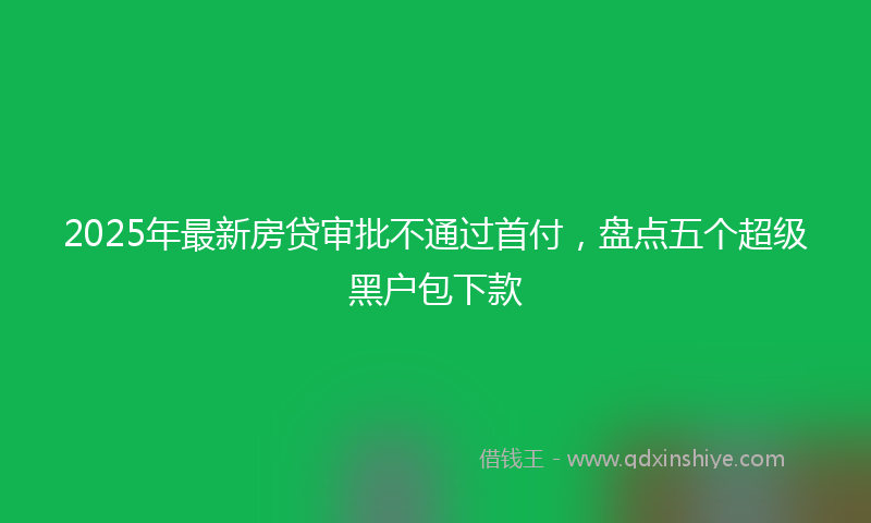 2025年最新房贷审批不通过首付，盘点五个超级黑户包下款