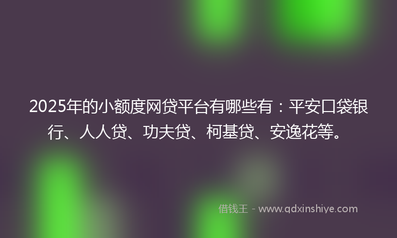 2025年的小额度网贷平台有哪些有：平安口袋银行、人人贷、功夫贷、柯基贷、安逸花等。