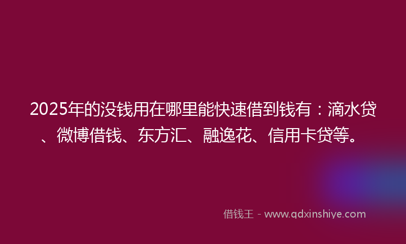 2025年的没钱用在哪里能快速借到钱有：滴水贷、微博借钱、东方汇、融逸花、信用卡贷等。