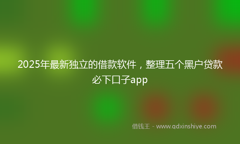 2025年最新独立的借款软件，整理五个黑户贷款必下口子app