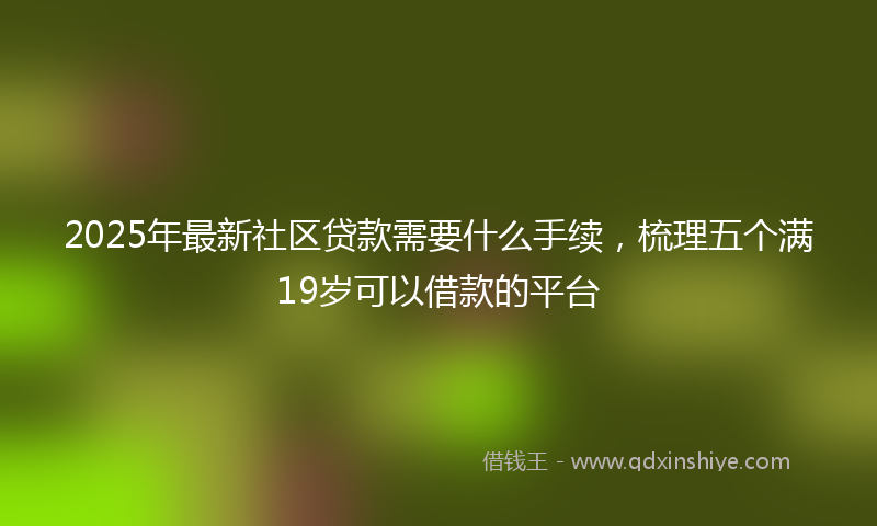 2025年最新社区贷款需要什么手续，梳理五个满19岁可以借款的平台