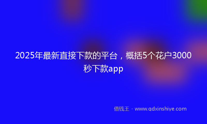 2025年最新直接下款的平台，概括5个花户3000秒下款app