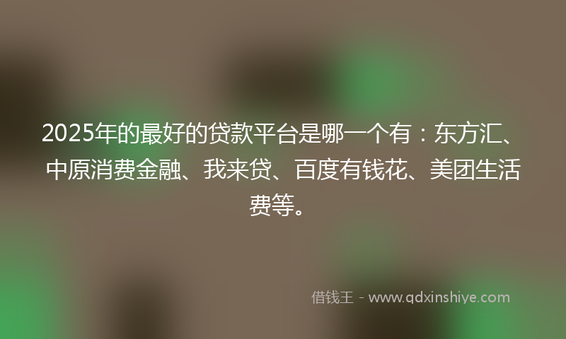 2025年的最好的贷款平台是哪一个有：东方汇、中原消费金融、我来贷、百度有钱花、美团生活费等。