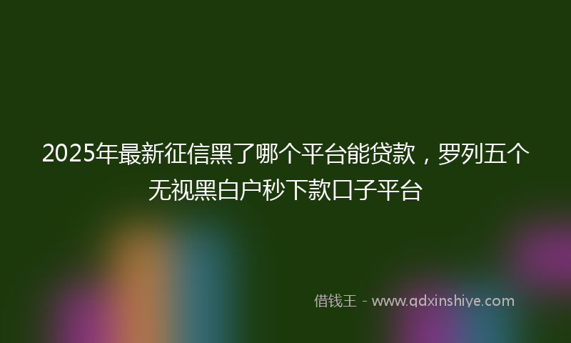 2025年最新征信黑了哪个平台能贷款，罗列五个无视黑白户秒下款口子平台