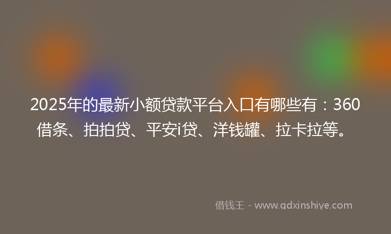 2025年的最新小额贷款平台入口有哪些有：360借条、拍拍贷、平安i贷、洋钱罐、拉卡拉等。
