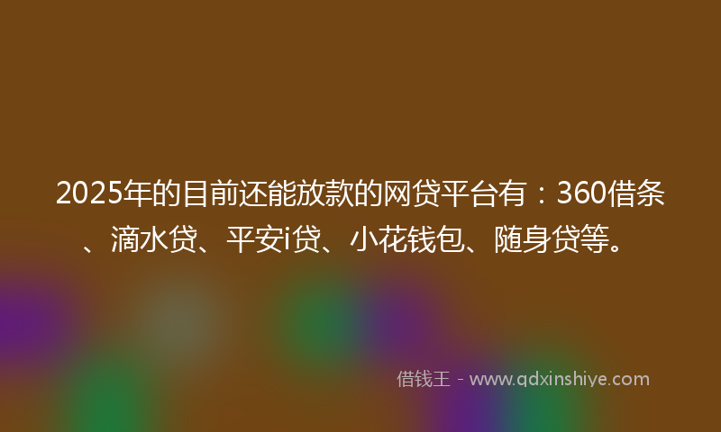 2025年的目前还能放款的网贷平台有：360借条、滴水贷、平安i贷、小花钱包、随身贷等。
