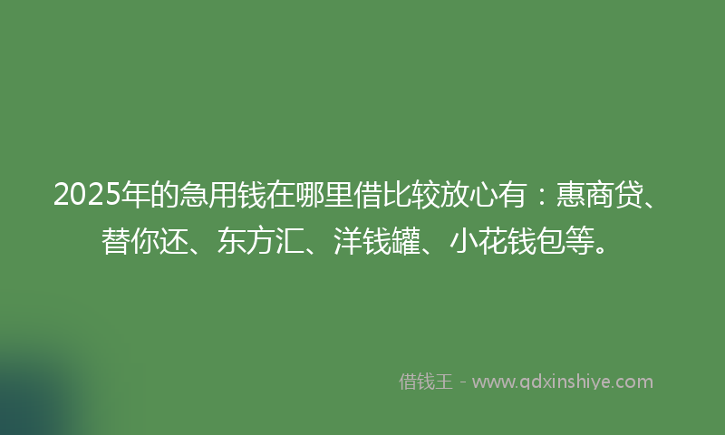 2025年的急用钱在哪里借比较放心有：惠商贷、替你还、东方汇、洋钱罐、小花钱包等。