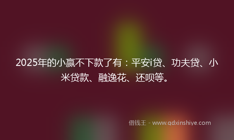 2025年的小赢不下款了有：平安i贷、功夫贷、小米贷款、融逸花、还呗等。