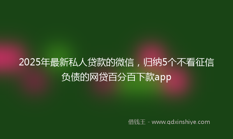 2025年最新私人贷款的微信，归纳5个不看征信负债的网贷百分百下款app