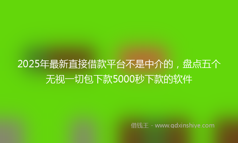 2025年最新直接借款平台不是中介的，盘点五个无视一切包下款5000秒下款的软件