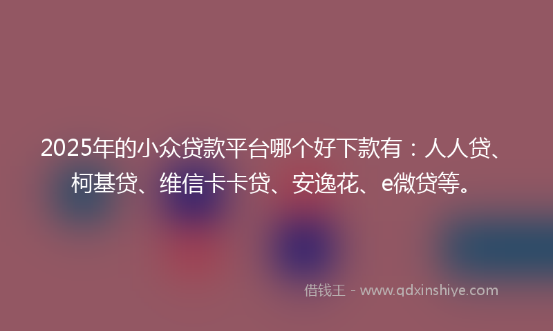 2025年的小众贷款平台哪个好下款有：人人贷、柯基贷、维信卡卡贷、安逸花、e微贷等。