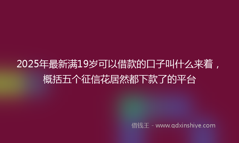 2025年最新满19岁可以借款的口子叫什么来着，概括五个征信花居然都下款了的平台