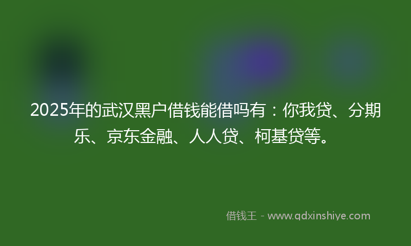 2025年的武汉黑户借钱能借吗有：你我贷、分期乐、京东金融、人人贷、柯基贷等。