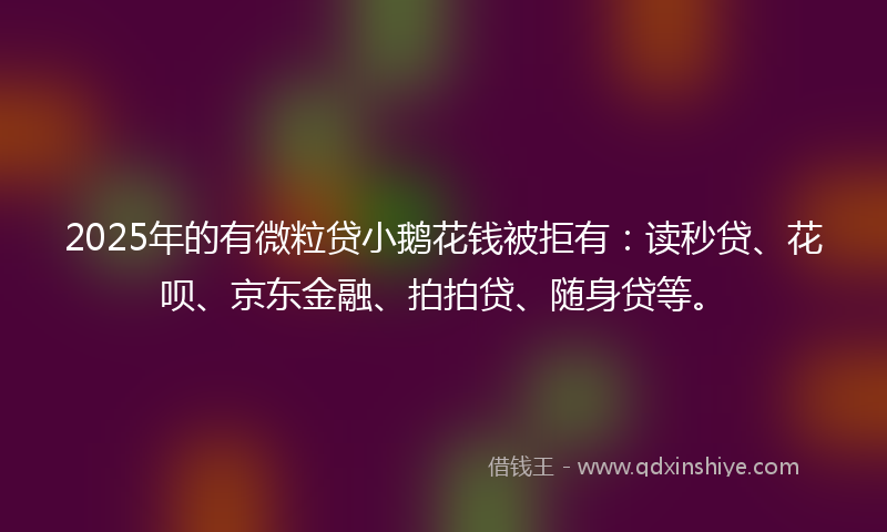 2025年的有微粒贷小鹅花钱被拒有：读秒贷、花呗、京东金融、拍拍贷、随身贷等。