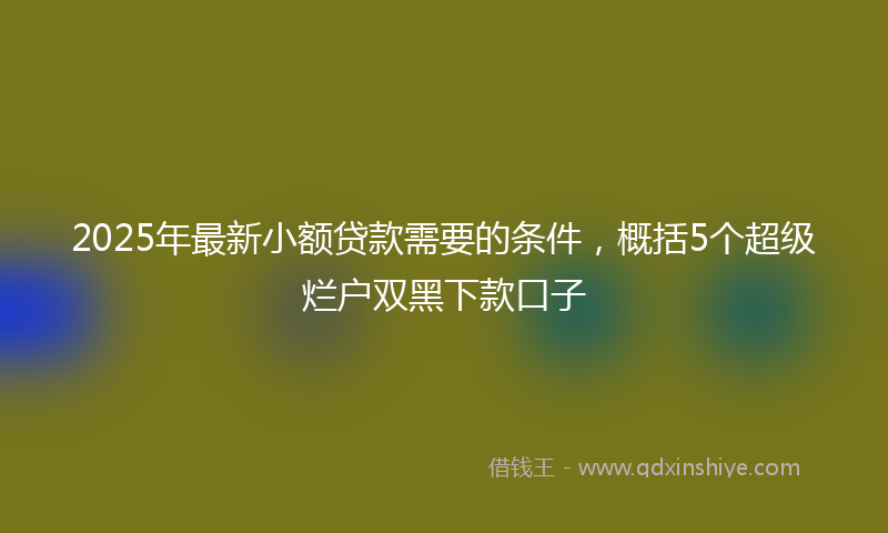 2025年最新小额贷款需要的条件，概括5个超级烂户双黑下款口子