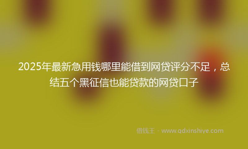2025年最新急用钱哪里能借到网贷评分不足，总结五个黑征信也能贷款的网贷口子