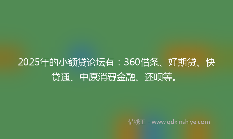 2025年的小额贷论坛有：360借条、好期贷、快贷通、中原消费金融、还呗等。