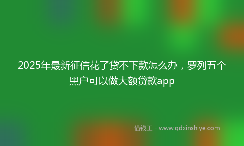2025年最新征信花了贷不下款怎么办，罗列五个黑户可以做大额贷款app