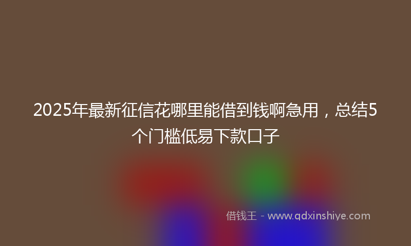 2025年最新征信花哪里能借到钱啊急用，总结5个门槛低易下款口子