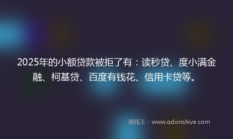 2025年的小额贷款被拒了有：读秒贷、度小满金融、柯基贷、百度有钱花、信用卡贷等。