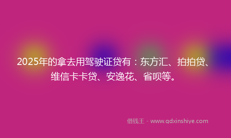 2025年的拿去用驾驶证贷有：东方汇、拍拍贷、维信卡卡贷、安逸花、省呗等。