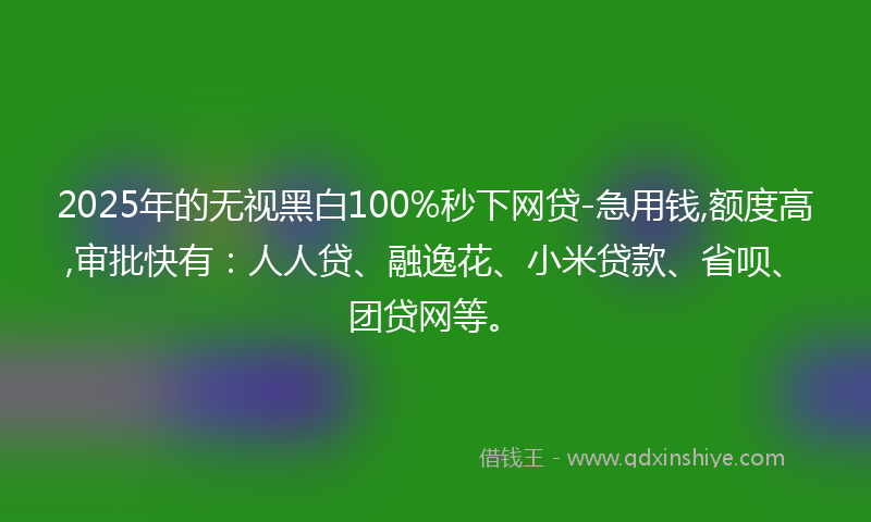 2025年的无视黑白100%秒下网贷-急用钱,额度高,审批快有：人人贷、融逸花、小米贷款、省呗、团贷网等。