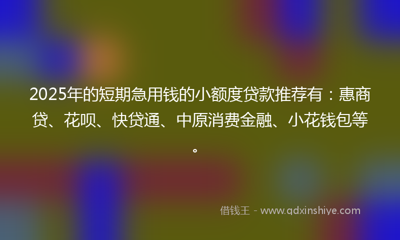 2025年的短期急用钱的小额度贷款推荐有：惠商贷、花呗、快贷通、中原消费金融、小花钱包等。