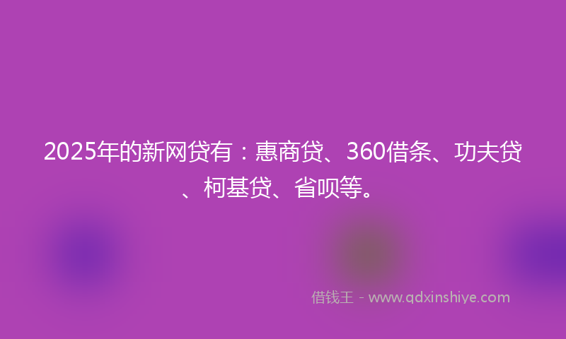 2025年的新网贷有：惠商贷、360借条、功夫贷、柯基贷、省呗等。