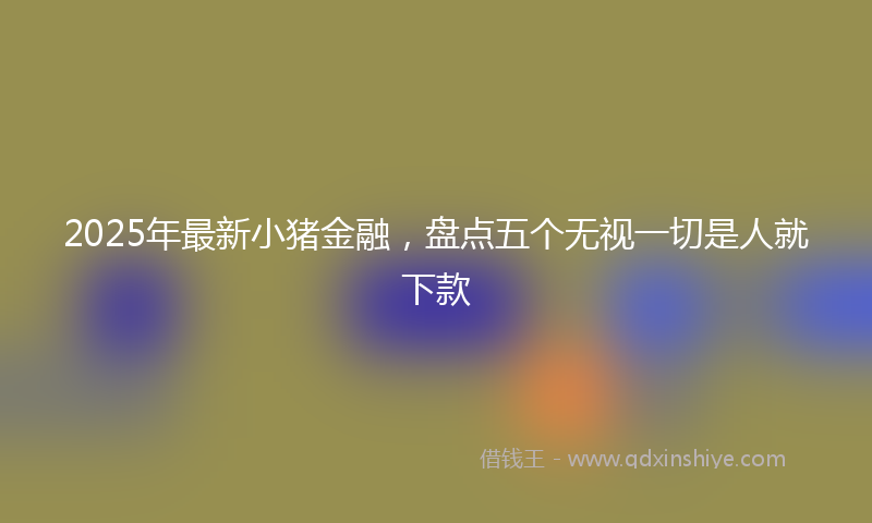 2025年最新小猪金融，盘点五个无视一切是人就下款