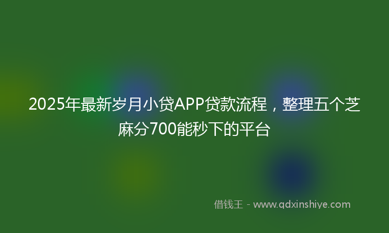 2025年最新岁月小贷APP贷款流程，整理五个芝麻分700能秒下的平台