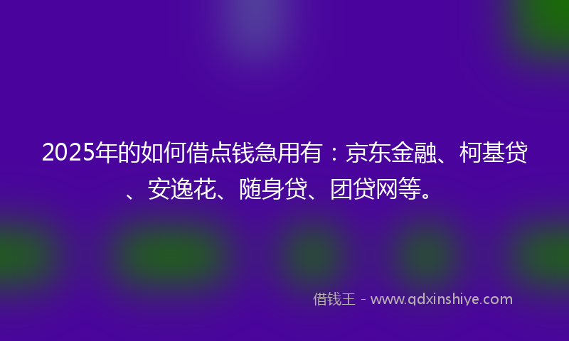 2025年的如何借点钱急用有：京东金融、柯基贷、安逸花、随身贷、团贷网等。