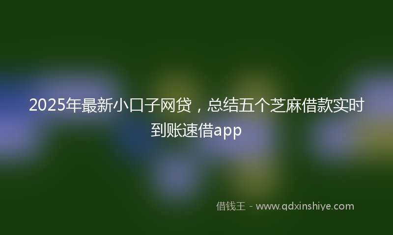 2025年最新小口子网贷，总结五个芝麻借款实时到账速借app