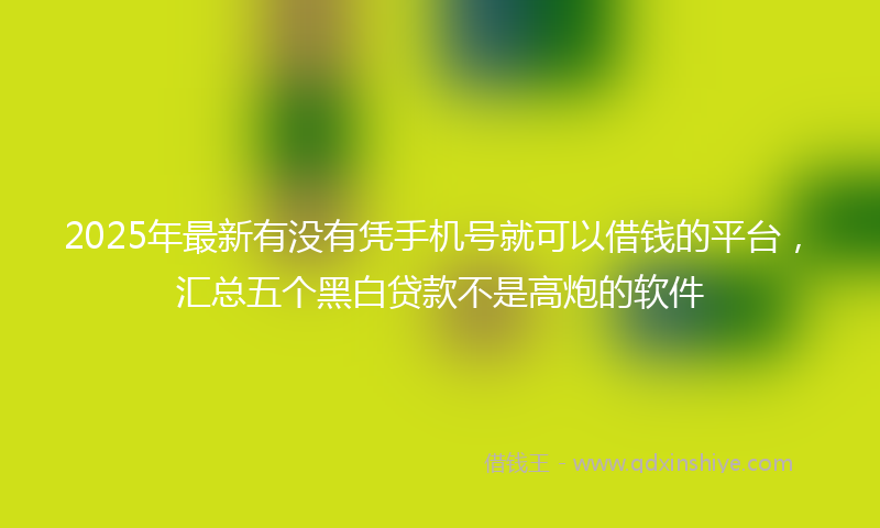 2025年最新有没有凭手机号就可以借钱的平台，汇总五个黑白贷款不是高炮的软件