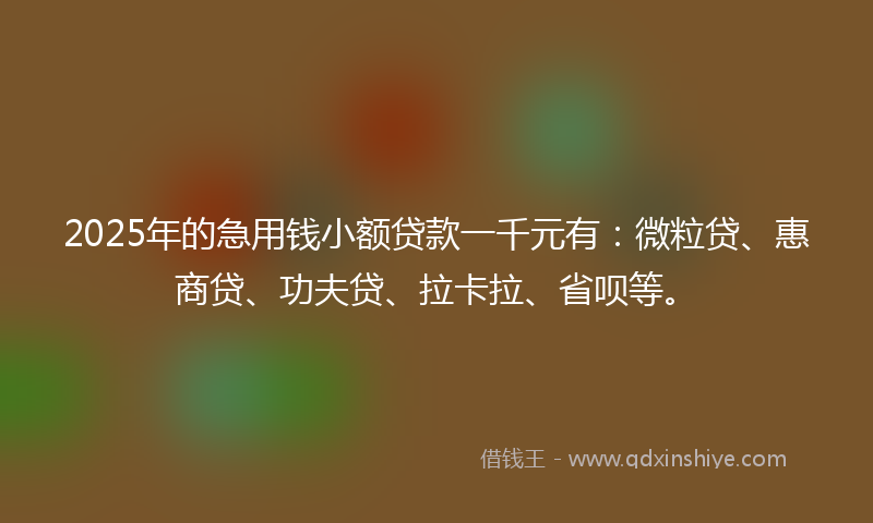 2025年的急用钱小额贷款一千元有:微粒贷、惠商贷、功夫贷、拉卡拉、省呗等。