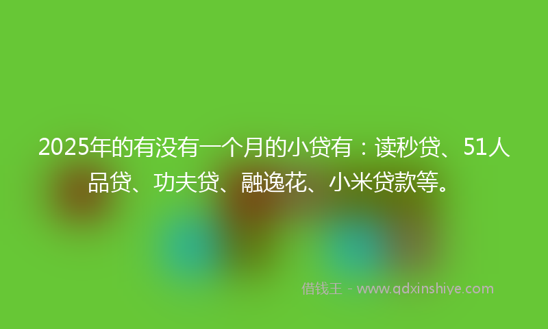 2025年的有没有一个月的小贷有：读秒贷、51人品贷、功夫贷、融逸花、小米贷款等。