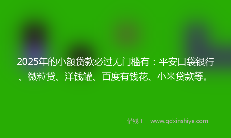 2025年的小额贷款必过无门槛有：平安口袋银行、微粒贷、洋钱罐、百度有钱花、小米贷款等。