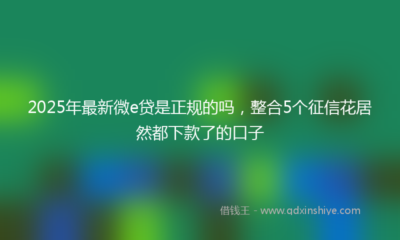 2025年最新微e贷是正规的吗，整合5个征信花居然都下款了的口子