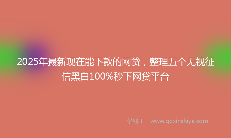 2025年最新现在能下款的网贷，整理五个无视征信黑白100%秒下网贷平台