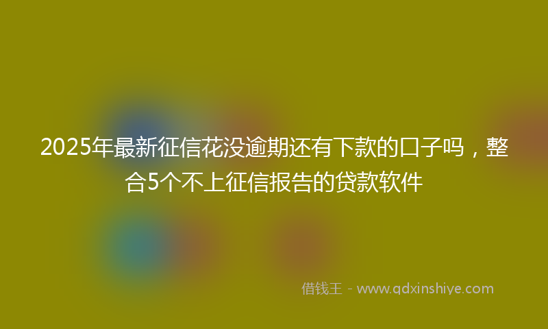 2025年最新征信花没逾期还有下款的口子吗，整合5个不上征信报告的贷款软件