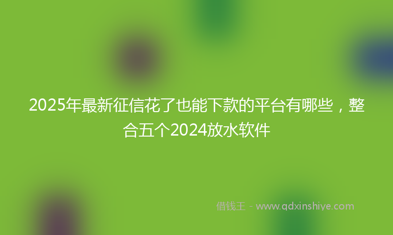 2025年最新征信花了也能下款的平台有哪些，整合五个2024放水软件