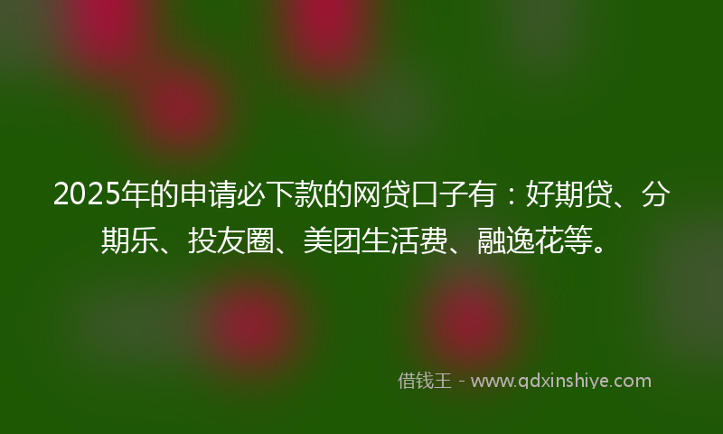 2025年的申请必下款的网贷口子有：好期贷、分期乐、投友圈、美团生活费、融逸花等。