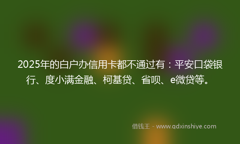 2025年的白户办信用卡都不通过有：平安口袋银行、度小满金融、柯基贷、省呗、e微贷等。