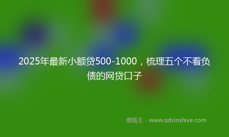 2025年最新小额贷500-1000，梳理五个不看负债的网贷口子