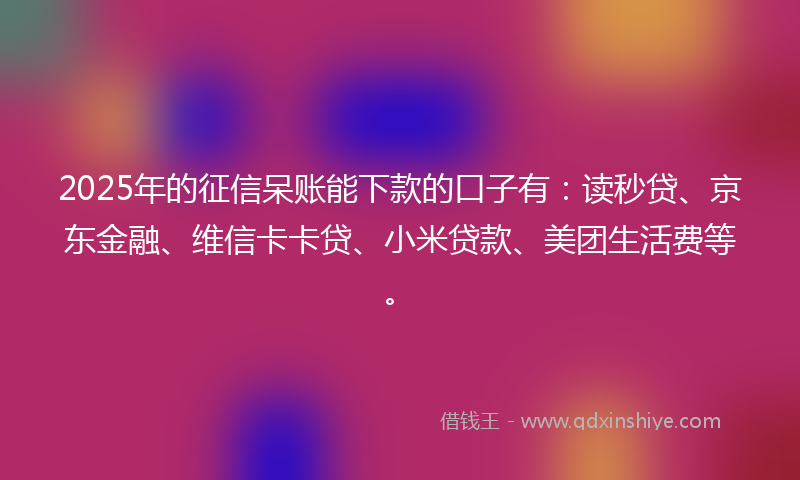 2025年的征信呆账能下款的口子有：读秒贷、京东金融、维信卡卡贷、小米贷款、美团生活费等。